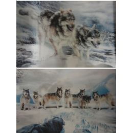50 Wholesale 3d PicturE-Snowy Wolf Pack/2 Wolves
