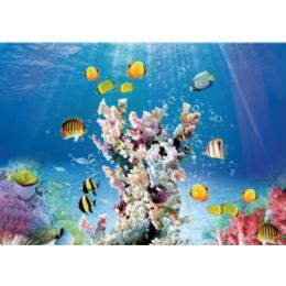 20 Wholesale 3d PicturE-Tropical Fish With Coral