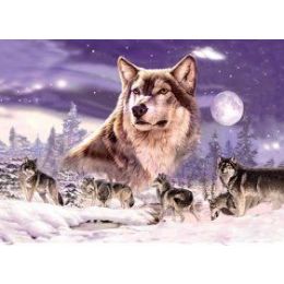 50 Wholesale 3d PicturE-Wolf Pack