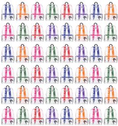 48 Wholesale 17 Inch Backpacks For Kids, Clear With Assorted Color Trim, 48 Pack