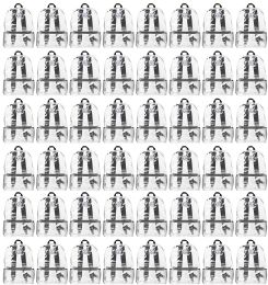 48 Wholesale 17 Inch Backpacks For Kids, Clear With Black Trim, 48 Pack
