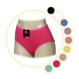 36 Wholesale Women's Microfiber Panties