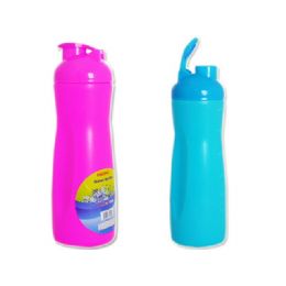 48 Wholesale 2 Asst Water Bottles