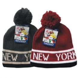 24 Wholesale Winter Pom Pom Hat Knit ny