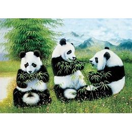 20 Wholesale 3d Picture 07--Pandas