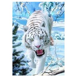 20 Wholesale 3d Picture 44--Walking White Tiger With Snow