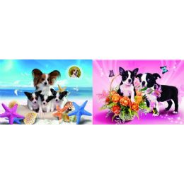 20 Wholesale 3d Picture 72--Boston Terrier Puppies/ Puppies At Beach