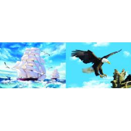 20 Wholesale 3d Picture 74--Sailboat/flying Eagle