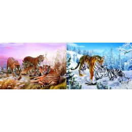 20 Wholesale 3d Picture 79--Siberian Tigers/bengal Tigers