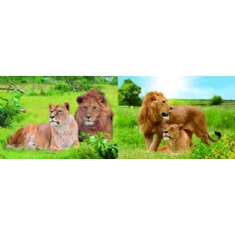 20 Wholesale 3d Picture 90--Lion And Lioness