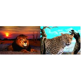 20 Wholesale 3d Picture 55--Lion/leopard