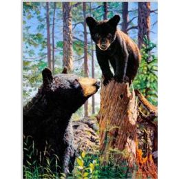 20 Wholesale 3d Picture 9613--Mama Bear & Baby Bear