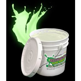 Wholesale Glominex Glow Paint Gallon - Invisible Day Green