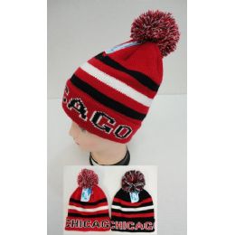 12 Wholesale Knitted Toboggan Hat [chicago]