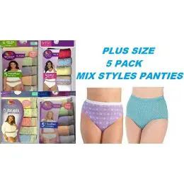 40 Wholesale Fruit Of The Loom Plus Size 5 Pack Mix Styles Panties