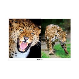100 Wholesale 3d Picture 9620-Leopard