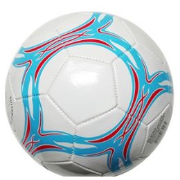 24 Wholesale Offical Size Soccer Balls.