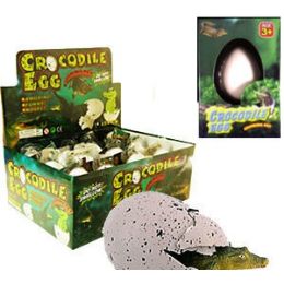 48 Wholesale Growing Gator Eggs.