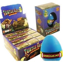 48 Wholesale Growing Pet Turtle Eggs