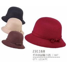 36 Wholesale Ladies Assorted Color Hat