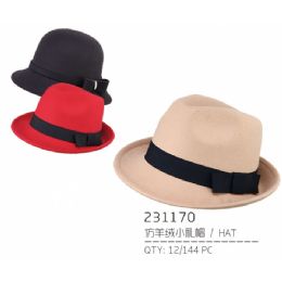 36 Bulk Ladies Assorted Color Hat