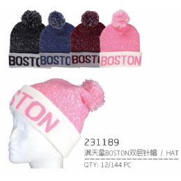 48 Pieces Boston Winter Hat - Fashion Winter Hats