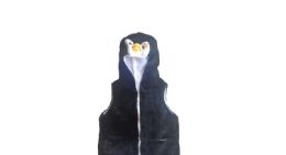 12 Pieces Vest With Pinguin Hoody For Kids - Winter Animal Hats