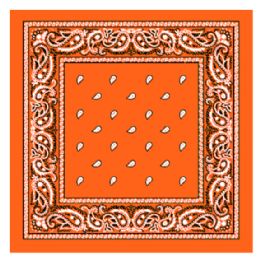 36 Pieces Orange Paisley Printed Cotton Bandana - Bandanas