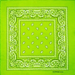 36 Pieces Light Green Paisley Printed Cotton Bandana - Bandanas