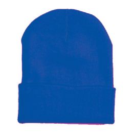 48 Pieces Ski Beanie In Royal Blue - Winter Beanie Hats