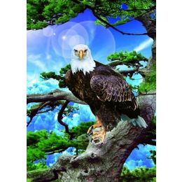 50 Wholesale 3d Picture 70--Eagle Intree