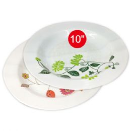 96 Pieces 10"deep Melamine Plate - Plastic Bowls and Plates