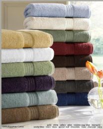 12 Pieces Designer Luxury Bath Towels 100% Egyptian Cotton In Robins Egg White - Bath Towels