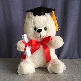 24 Wholesale 8.5" White Color Graduation Bear