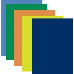 100 Pieces Poster Board 22x28 - Assorted Colors - Poster & Foam Boards