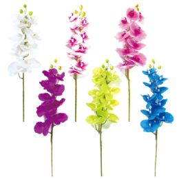 24 Wholesale Orchid Assorted Color