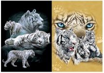 50 Wholesale 3d Picture 9706--White Tigers