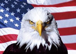 50 Wholesale 3d Picture 9734--Eagle With Flag