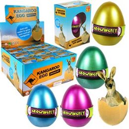 48 Wholesale Growing Pet Kangaroo Eggs