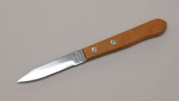 144 Wholesale Granny Knife 3 In Ss Blade