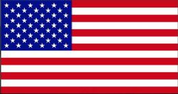 24 Pieces American Flag - Flag