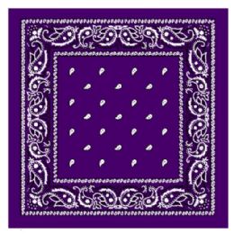 36 Pieces Purple Color Paisley Printed Cotton Bandana - Bandanas