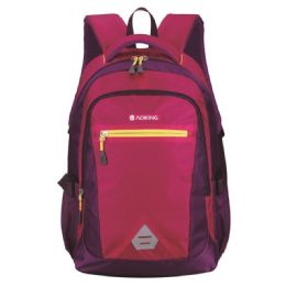 24 Wholesale Backpack Assorted Colors