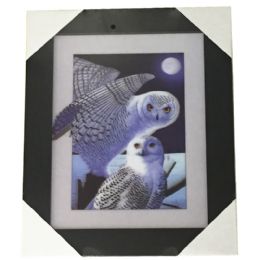 12 Wholesale 5d Night Owls Canvas Picture