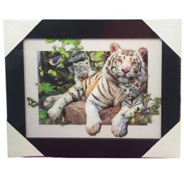 12 Wholesale 5d White Tiger Canvas Picture