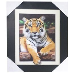 12 Wholesale 5d Tiger Resting Canvas Picture