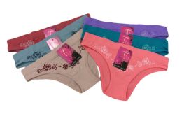 48 Wholesale Lady's Seamless Panty