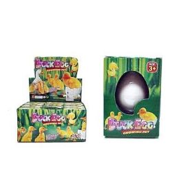 48 Pieces Duck Grow Hatching Egg - Magic & Joke Toys