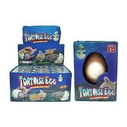 48 Wholesale Turtle Grow Hatching Egg