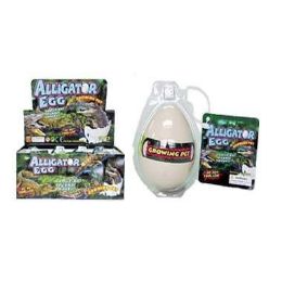 48 Bulk Grow Alligator Hatching Egg